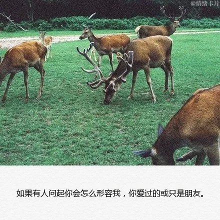我也是难过，舍不得，可是我什么也没说