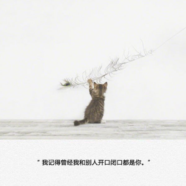 唯美图片，文字图片,情侣图片qqqqp