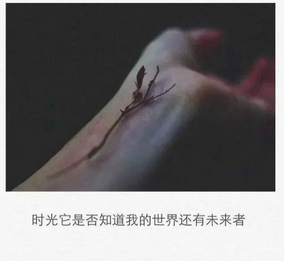 唯美图片，文字图片,情侣图片qqqqp