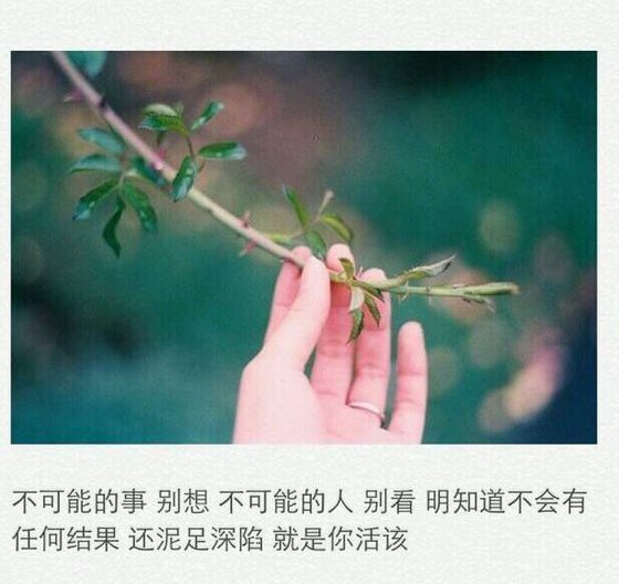唯美图片，文字图片,情侣图片qqqqp