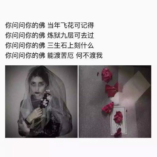 唯美图片，文字图片,情侣图片qqqqp