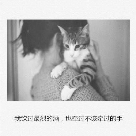 唯美图片，文字图片,情侣图片qqqqp