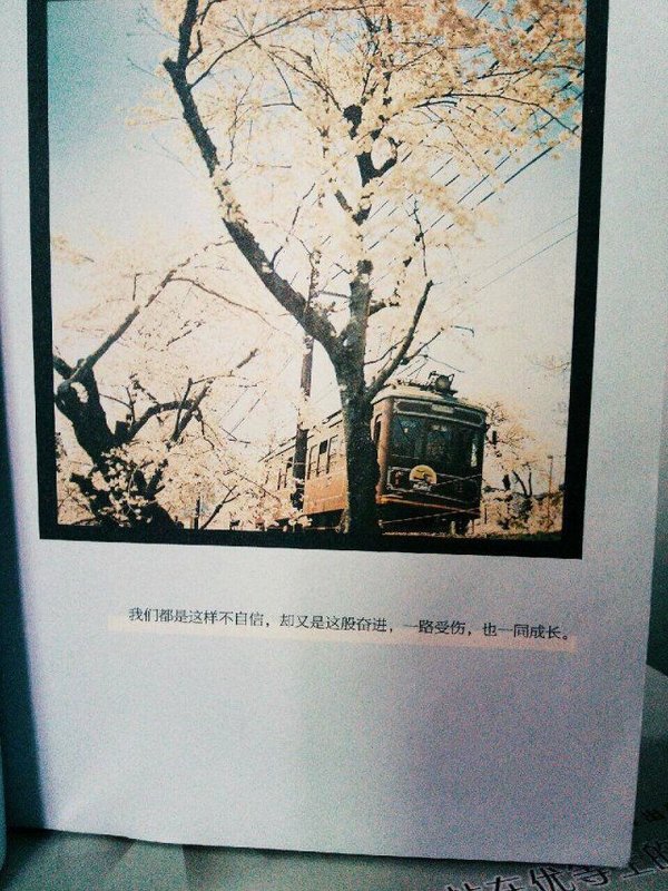 唯美图片，文字图片,情侣图片qqqqp