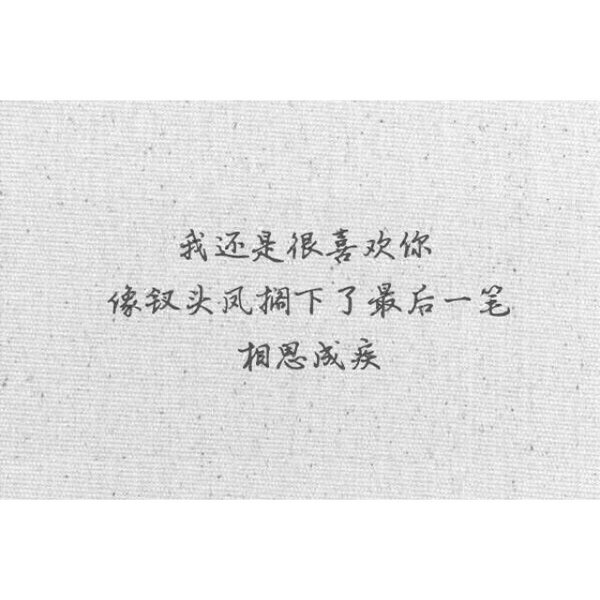 唯美图片，文字图片,情侣图片qqqqp