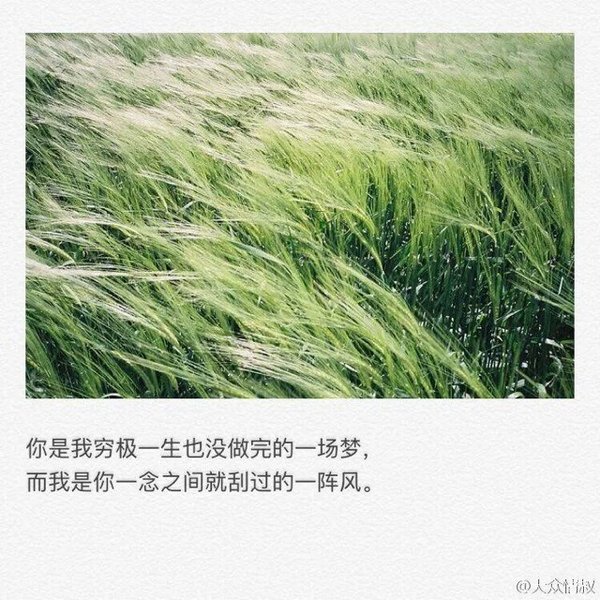 在失去你的风景里，你却占据着每一条街