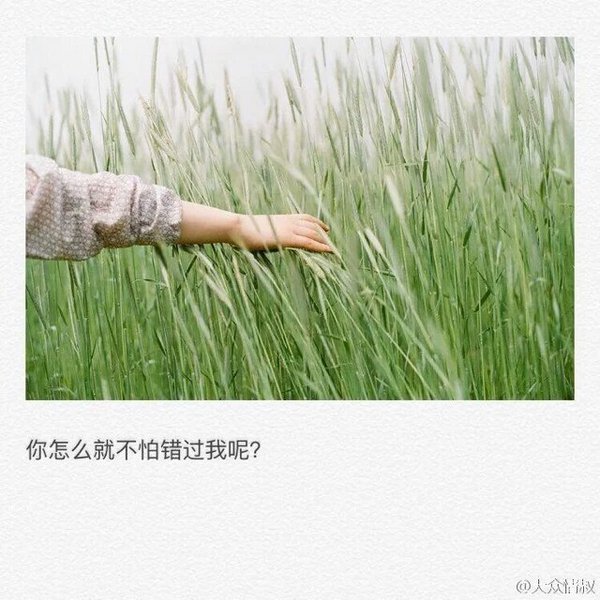 唯美图片，文字图片，动漫图片，情侣图片,qqqqp.com