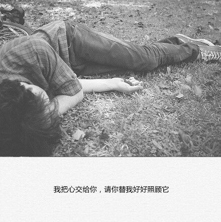 我把心交给你，你替我照顾好它