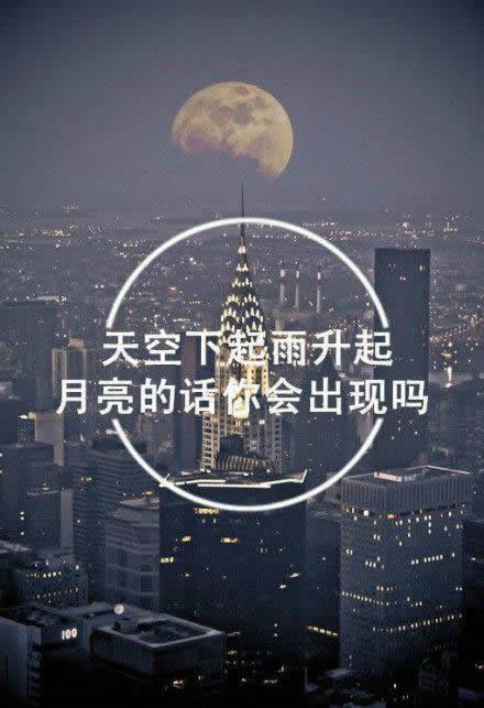 我一野马 不谈归途‍.