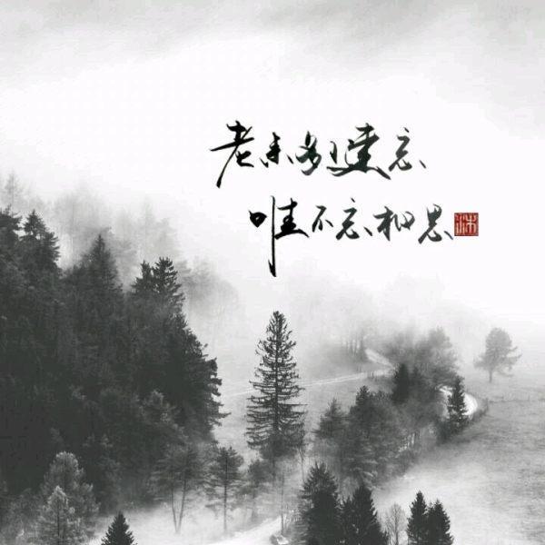 唯美图片，文字图片,情侣图片qqqqp