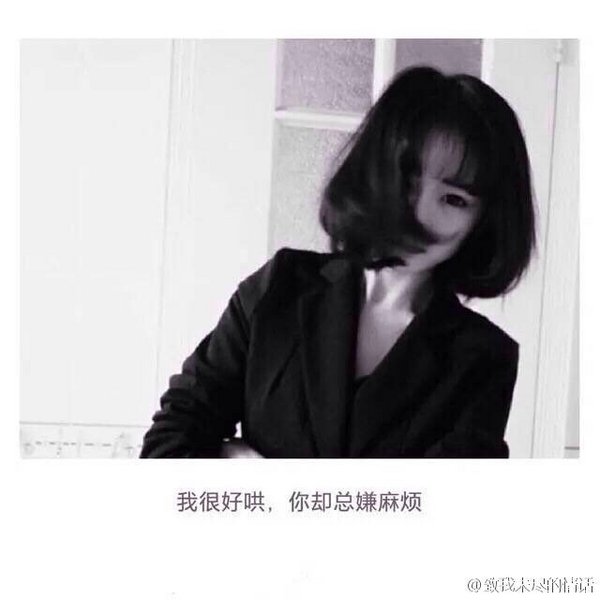 我想从新认识你，从你叫什么名字开始