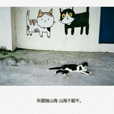 唯美图片，文字图片,情侣图片qqqqp