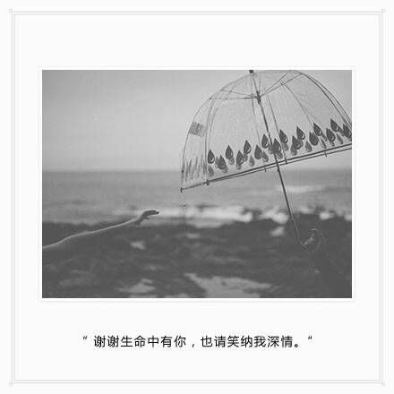醉的人们举起杯，笑的眼里全是泪。