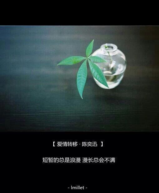 我们因为歌词而爱上一首歌