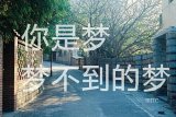 如果、哭能掩饰一切