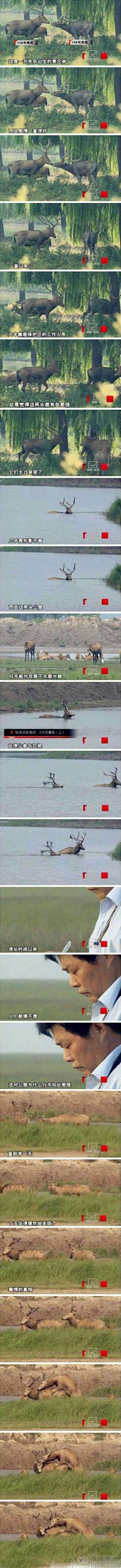 真的不会再爱了！彻底伤了！
