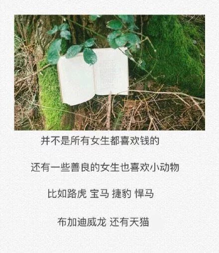 你无数次说着要放弃 但始终还是舍不得