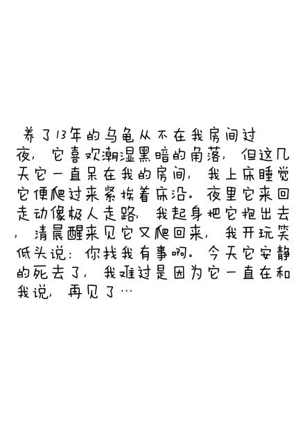 你和宠物之间发生的趣事