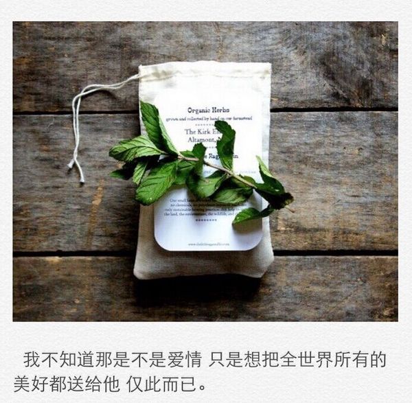 我们都是失败的人，不敢告诉心爱的人，哪怕一句喜欢