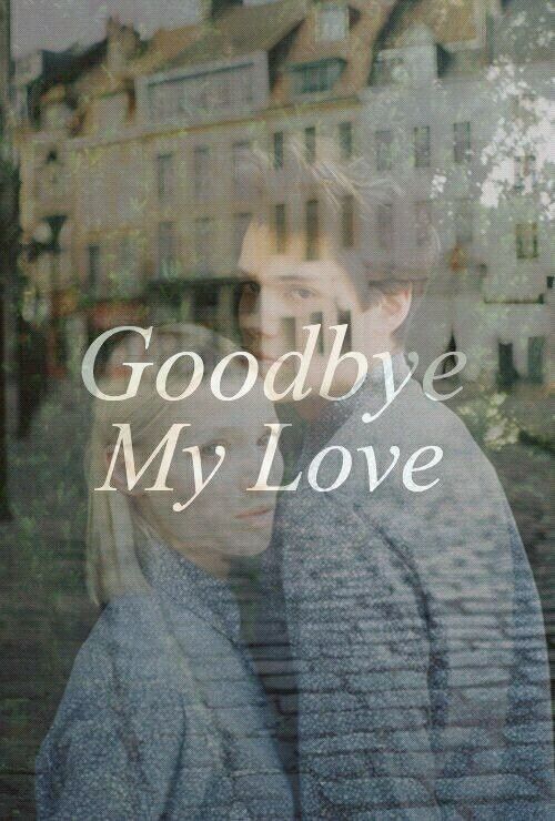 Goodbye My Love