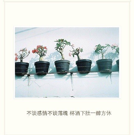 不管有多难熬，人生都要眉眼带笑