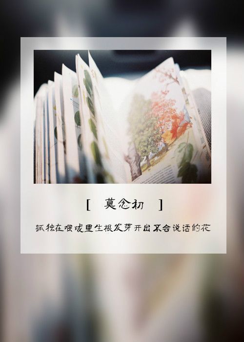 我不想做你生命的插曲，只想做你生命最完美的结局