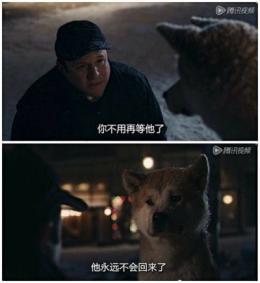 你爱我也不容易吧，怎么都不问代价