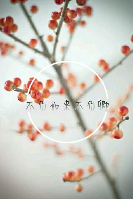 君生我未生，我生君已老