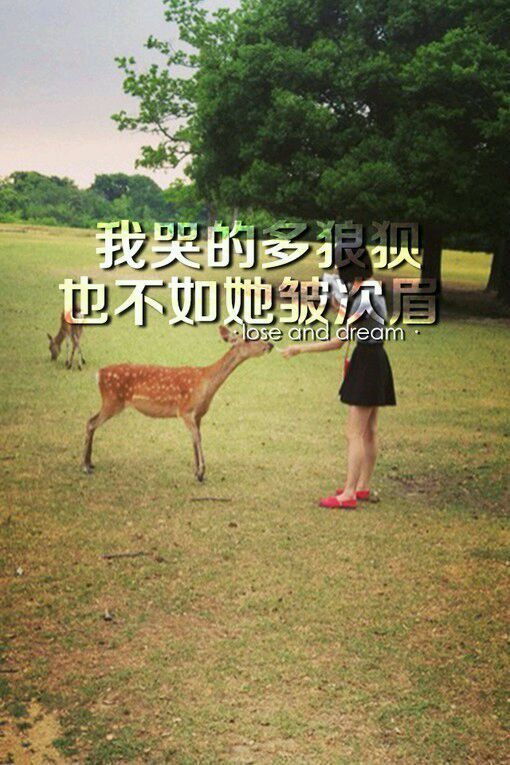 你是想给我安慰，还是想看我的眼泪