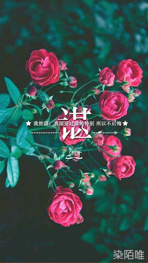 姓氏带字爱情图片 对你的感觉，一直都在