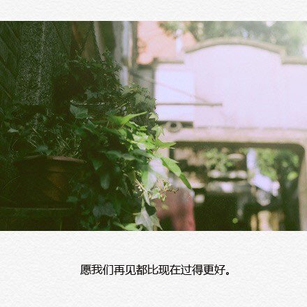 别一吹风就流泪，一喝酒就醉。