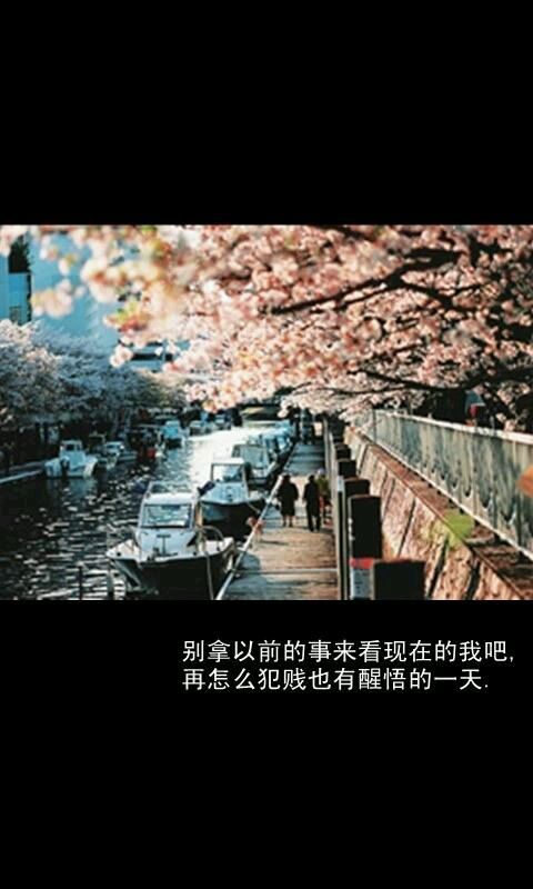 我大好一个人，凭什么跑到别人的生命力去当插曲