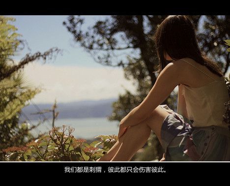 我的一路偏执，最后只换来你转身离去
