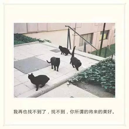 听别人说爱情的时候，我发现还是好想你