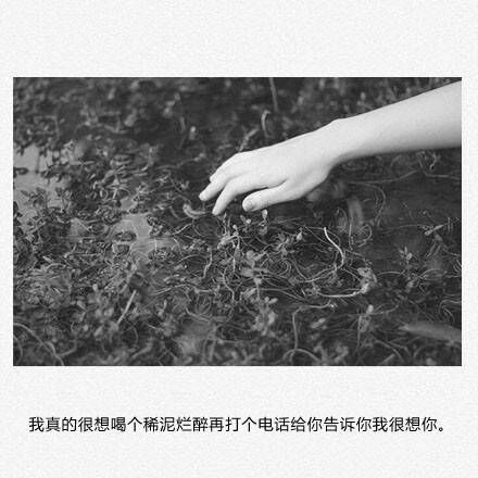 故事不够动人，可说故事的人总是流泪