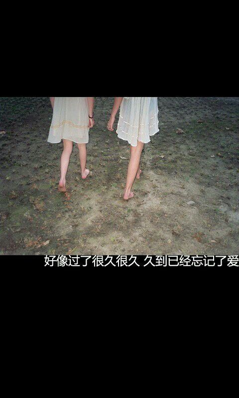 风是我默淡的叹息
