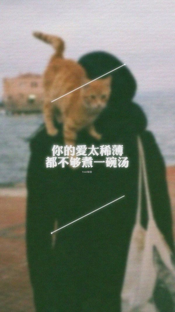 我想要开始一段新的旅程 情感带字图片