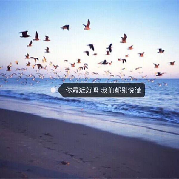 放心去流浪，我替你说谎 悲伤文字图片