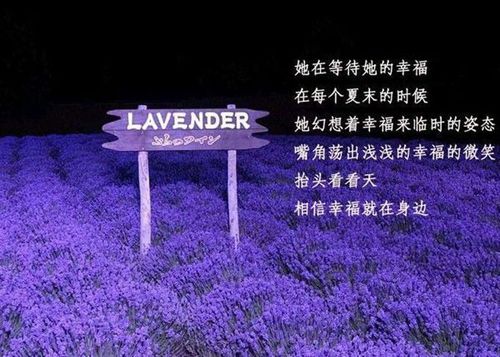 没有一个温暖的怀抱可以依靠