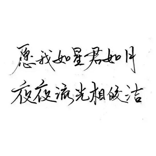 唯美图片，文字图片,情侣图片qqqqp