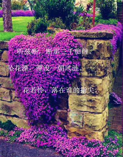 别用吻过她的唇说爱我