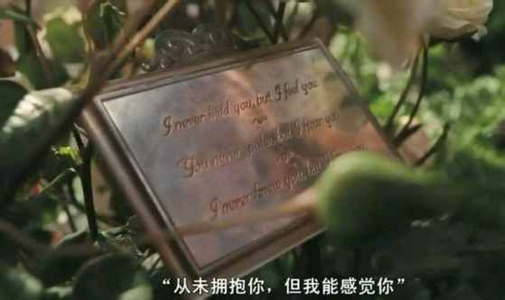 心伤也不是坏事，说明你曾经付出过