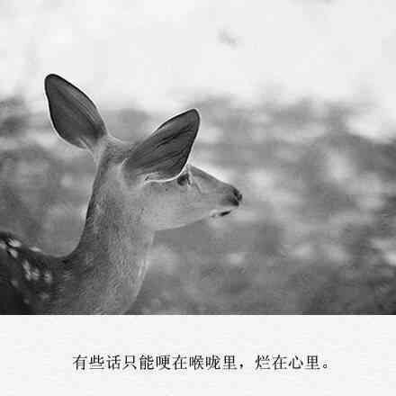 唯美图片，文字图片，动漫图片，情侣图片,qqqqp.com