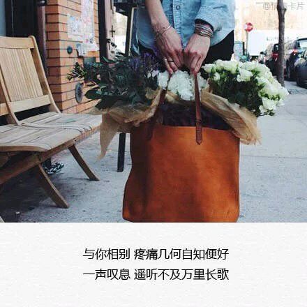 唯美图片，文字图片,情侣图片qqqqp