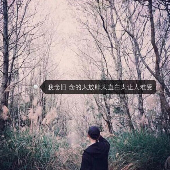 唯美图片，文字图片,情侣图片qqqqp