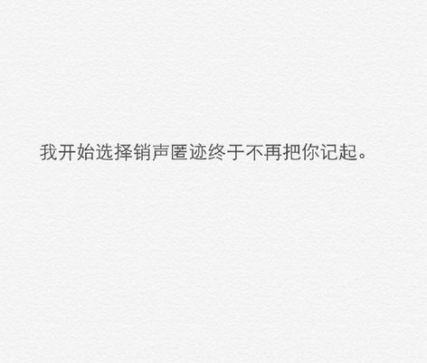 幸福要各自去寻找，最后会习惯一个人的风景