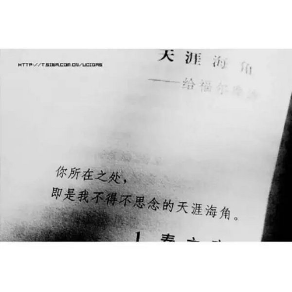 唯美图片，文字图片,情侣图片qqqqp