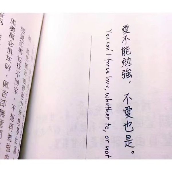 唯美图片，文字图片,情侣图片qqqqp