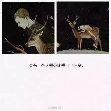 唯美图片，文字图片,情侣图片qqqqp