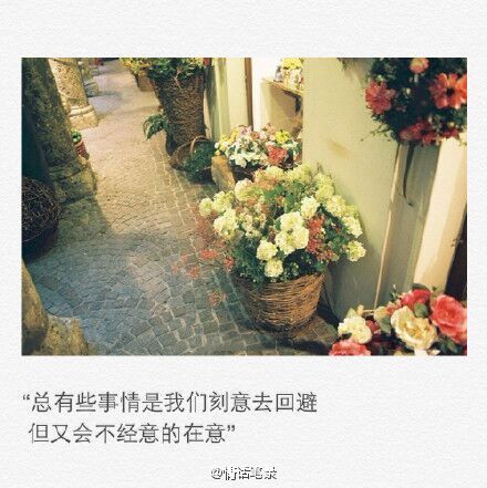 你说你讨厌酒味，却为他深夜买醉
