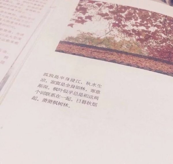 唯美图片，文字图片,情侣图片qqqqp